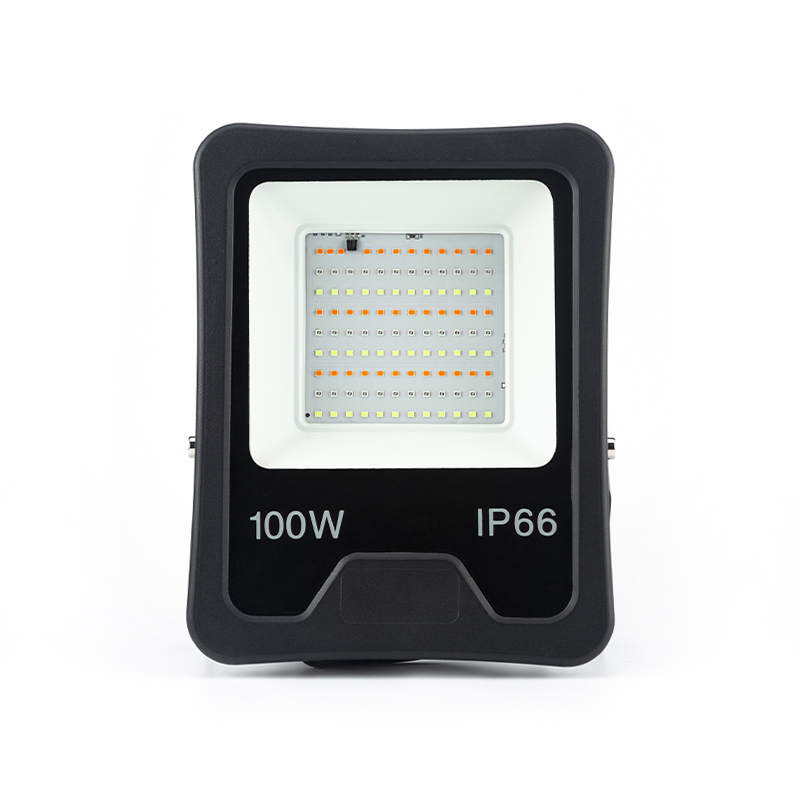 100 watt led flood light price