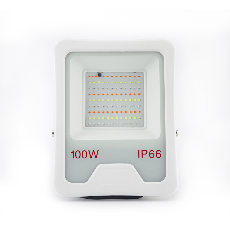 led flood light 100w ip66