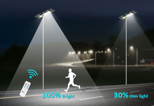 Double-Sided Solar Panel Solar Street Light(SL-X)