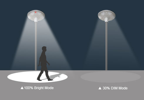 Round Ground Solar Lights